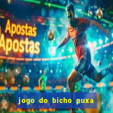 jogo do bicho puxa de dona maria